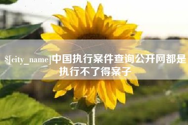 启东中国执行案件查询公开网都是执行不了得案子