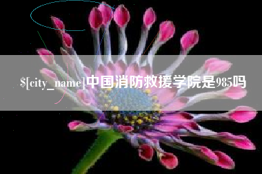 启东中国消防救援学院是985吗