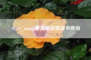 启东查消防资格证书查询
