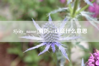 启东消防ccc认证什么意思