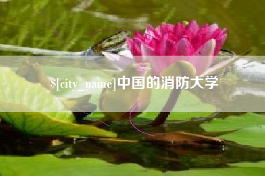 启东中国的消防大学