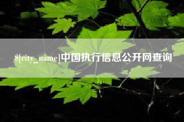 启东中国执行信息公开网查询
