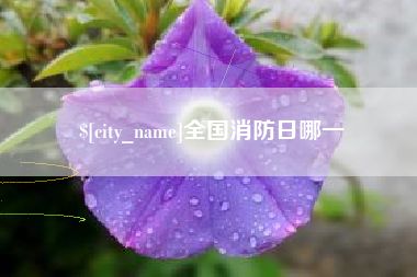 启东全国消防日哪一