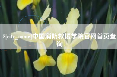 启东中国消防救援学院官网首页查询