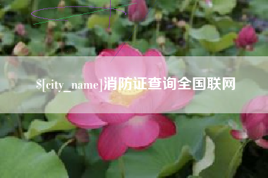 启东消防证查询全国联网