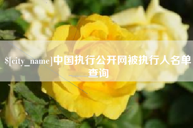 启东中国执行公开网被执行人名单查询