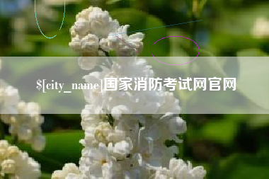 启东国家消防考试网官网
