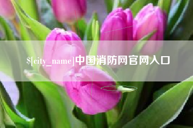 启东中国消防网官网入口