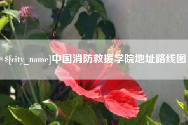 启东中国消防救援学院地址路线图