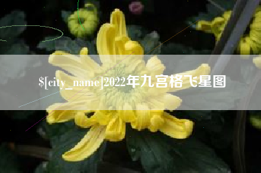 启东2022年九宫格飞星图