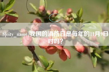 启东我国的消防日是每年的11月9日对吗？