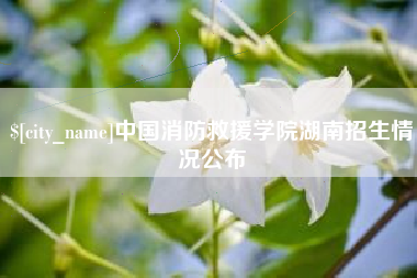 启东中国消防救援学院湖南招生情况公布