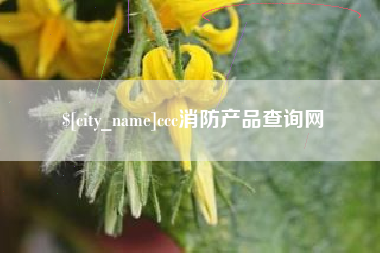 启东ccc消防产品查询网
