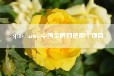 启东中国金牌都是哪个项目