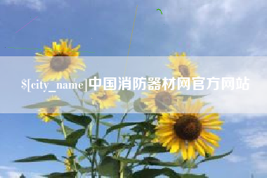 启东中国消防器材网官方网站