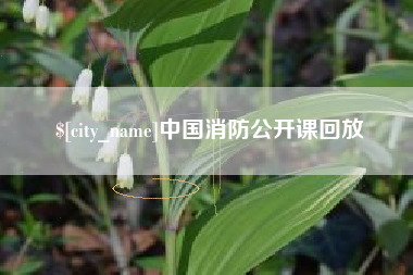 启东中国消防公开课回放