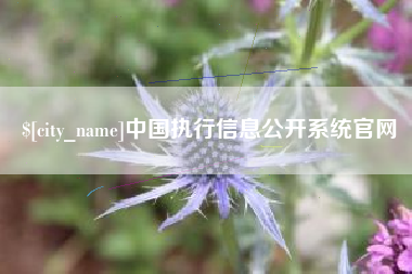 启东中国执行信息公开系统官网