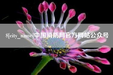 启东中国消防网官方网站公众号