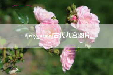 启东古代九宫图片