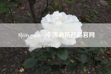 启东中国消防产品官网