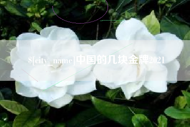 启东中国的几块金牌2021
