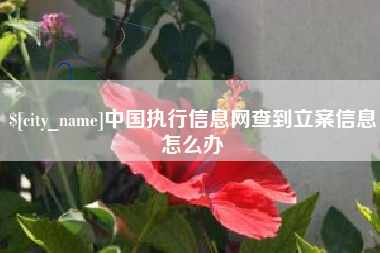 启东中国执行信息网查到立案信息怎么办