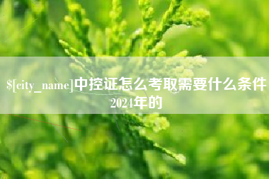 启东中控证怎么考取需要什么条件2024年的
