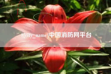 启东中国消防网平台