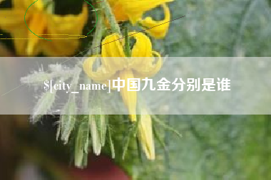 启东中国九金分别是谁