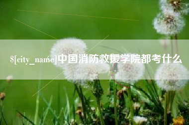 启东中国消防救援学院都考什么