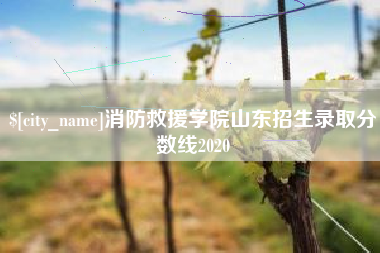启东消防救援学院山东招生录取分数线2020