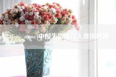 启东中国失信执行人查询官网