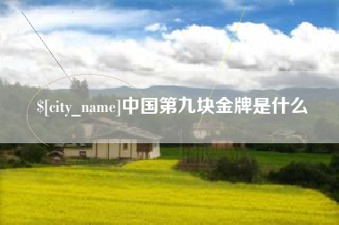 启东中国第九块金牌是什么