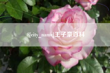 启东王子豪百科