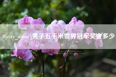 启东男子五千米世界冠军奖金多少