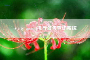启东执行公告查询系统