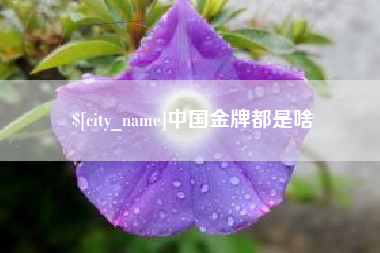 启东中国金牌都是啥