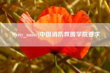 启东中国消防救援学院要求