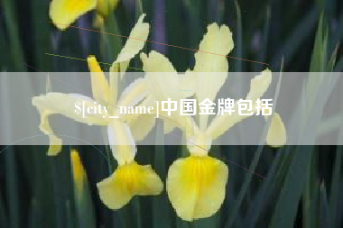 启东中国金牌包括