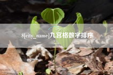 启东九宫格数字排序