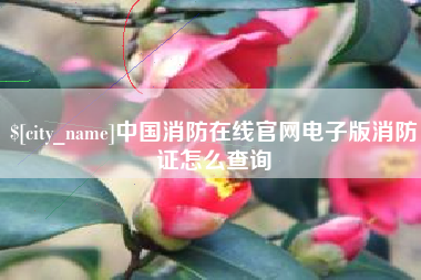 启东中国消防在线官网电子版消防证怎么查询