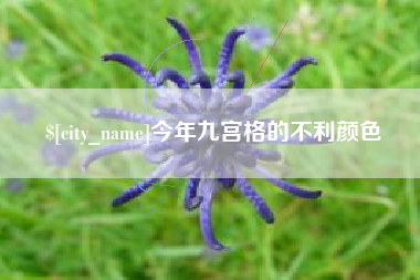 启东今年九宫格的不利颜色