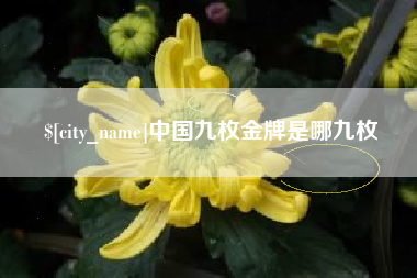 启东中国九枚金牌是哪九枚