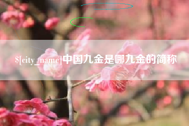 启东中国九金是哪九金的简称