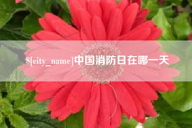启东中国消防日在哪一天