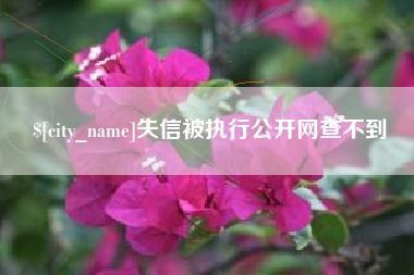 启东失信被执行公开网查不到