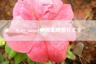 启东中国金牌图片大全