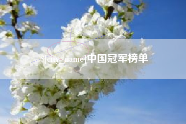 启东中国冠军榜单