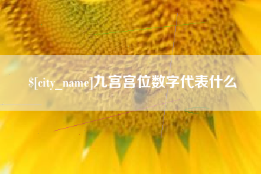 启东九宫宫位数字代表什么