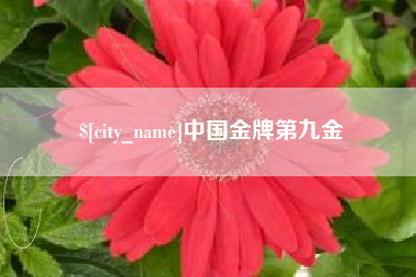 启东中国金牌第九金
